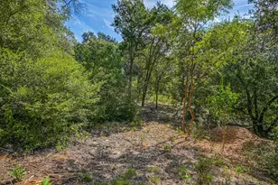 1403 Redbud Trail, West Lake Hills, TX 78746 - Photo 29