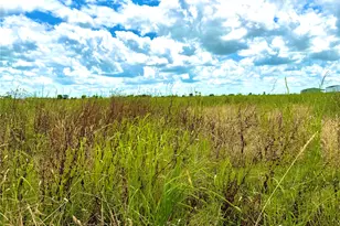 Tbd Tract 4 Beal Rd, Eagle Lake, TX 77434 - Photo 1