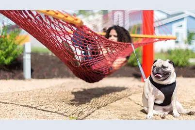 8909 Nilgai Drive, Austin, TX 78744 - Photo 7