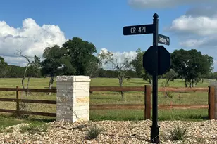 163 Landings Wy, Spicewood, TX 78669 - Photo 3