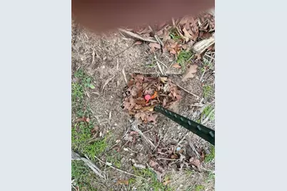 1250 Cypress Trail Loop, Rockdale, TX 76567 - Photo 5