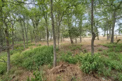 143 Chandler Cove, Cedar Creek, TX 78612 - Photo 9