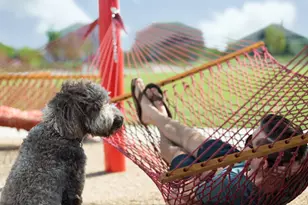 1016B Brickell Loop, Austin, TX 78744 - Photo 11