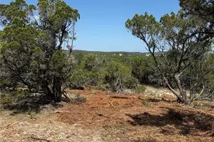 4155 Bee Creek Rd, Spicewood, TX 78669 - Photo 13