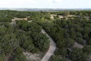 510 SW Pace Bend Road S, Spicewood, TX 78669 - Photo 23