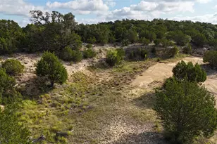 510 SW Pace Bend Road S, Spicewood, TX 78669 - Photo 7