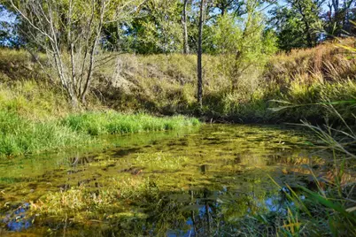 141 Morning Dove Lane, Elgin, TX 78602 - Photo 3