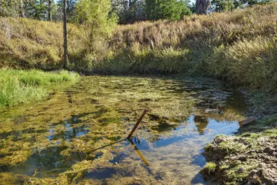 141 Morning Dove Lane, Elgin, TX 78602 - Photo 37