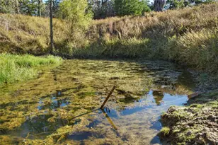 141 Morning Dove Ln, Elgin, TX 78602 - Photo 37