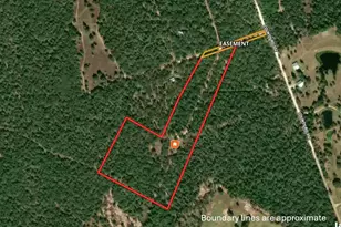 1047 Private Road 3022, Elgin, TX 78621 - Photo 21