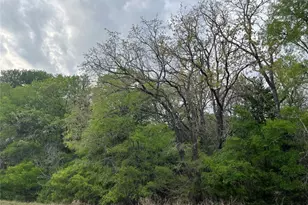 162 & 164 W Kaanapali Ln, Bastrop, TX 78602 - Photo 1