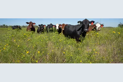 1558 Texas Street, Rockdale, TX 76567 - Photo 11