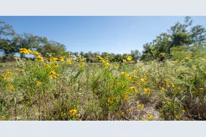 1558 Texas Street, Rockdale, TX 76567 - Photo 7