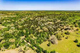 497 Mt Pleasant Rd, Cedar Creek, TX 78612 - Photo 21