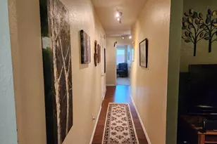 4100 Natural Bridge Ct, Round Rock, TX 78681 - Photo 13