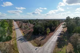 Lot 3 South Old Potato Rd, Paige, TX 78659 - Photo 1