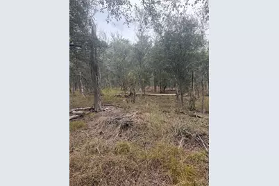 Lots 298, 300 Riverside Drive, Bastrop, TX 78602 - Photo 7