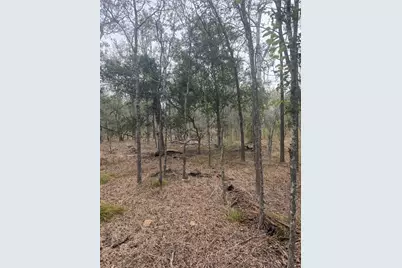 Lots 298, 300 Riverside Drive, Bastrop, TX 78602 - Photo 5