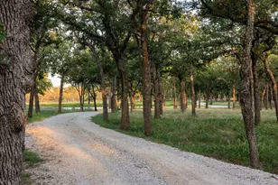 10030 E US Hwy 290 Hwy, Fredericksburg, TX 78624 - Photo 39