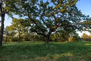 10030 E US Hwy 290 Hwy, Fredericksburg, TX 78624 - Photo 37