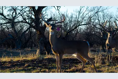 20775 County Road 1445, Paint Rock, TX 76866 - Photo 15