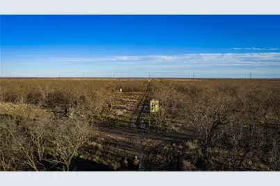 20775 County Road 1445, Paint Rock, TX 76866 - Photo 19
