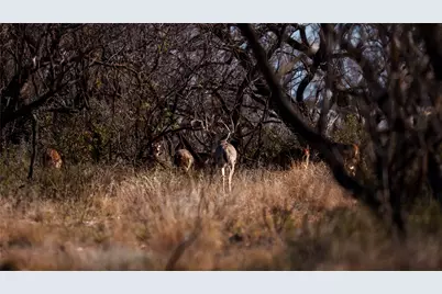 20775 County Road 1445, Paint Rock, TX 76866 - Photo 11