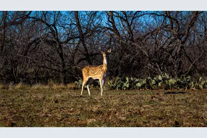 20775 County Road 1445, Paint Rock, TX 76866 - Photo 39