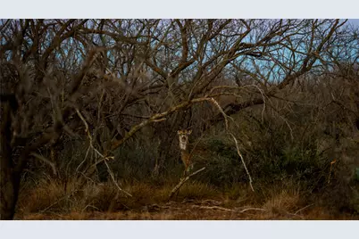 20775 County Road 1445, Paint Rock, TX 76866 - Photo 33