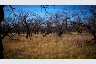 20775 County Road 1445, Paint Rock, TX 76866 - Photo 25