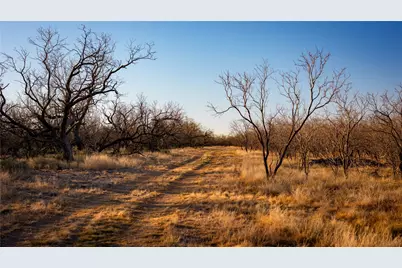 20775 County Road 1445, Paint Rock, TX 76866 - Photo 5