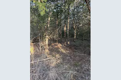 160 Helemano Drive, Bastrop, TX 78602 - Photo 3
