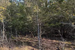 160 Helemano Dr, Bastrop, TX 78602 - Photo 1