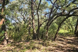 Tbd County Road 243, Bertram, TX 78605 - Photo 25