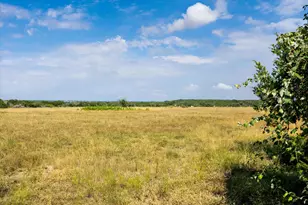 Tbd County Road 243, Bertram, TX 78605 - Photo 19