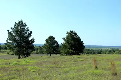 Tbd Crafts Prairie Road, Bastrop, TX 78602 - Photo 27