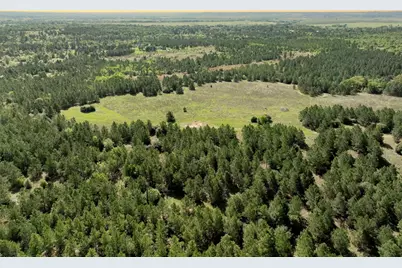 Tbd Crafts Prairie Road, Bastrop, TX 78602 - Photo 17