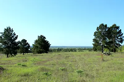 Tbd Crafts Prairie Road, Bastrop, TX 78602 - Photo 31