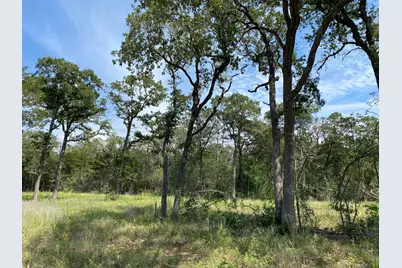 Tbd High Crossing Rd - Tract 8, Smithville, TX 78957 - Photo 5