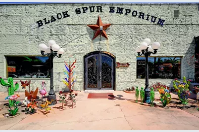 100 W Main Street, Johnson City, TX 78636 - Photo 3