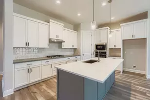 121 Prickly Poppy Loop, Kyle, TX 78640 - Photo 3