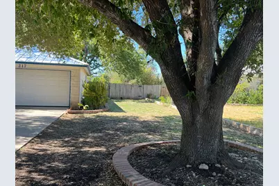 217 Green Pasture Drive, Hutto, TX 78634 - Photo 13
