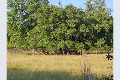 2217 Downing Lane, Leander, TX 78641 - Photo 9