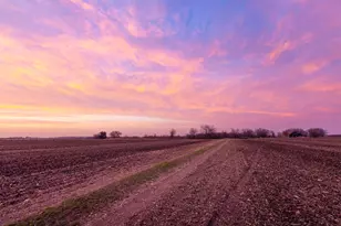 1501 Co Rd 132, Hutto, TX 78634 - Photo 9