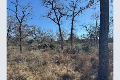 Tbd Marjess Drive, Cedar Creek, TX 78612 - Photo 5