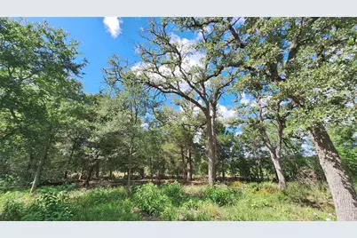 1014 Beaver Lake Drive, Caldwell, TX 77836 - Photo 5
