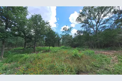 1014 Beaver Lake Drive, Caldwell, TX 77836 - Photo 3