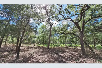1014 Beaver Lake Drive, Caldwell, TX 77836 - Photo 9
