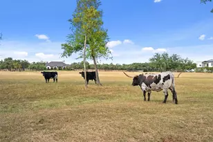 2700 County Road 282 Rd, Leander, TX 78641 - Photo 39