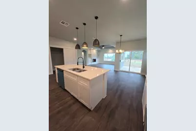 206 Lewis Todd, Blanco, TX 78606 - Photo 3